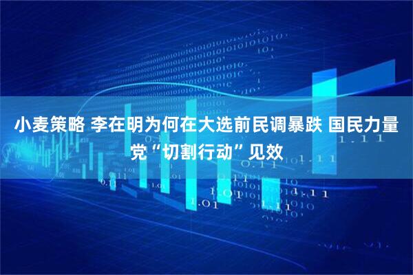 小麦策略 李在明为何在大选前民调暴跌 国民力量党“切割行动”见效