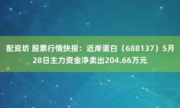 配资坊 股票行情快报：近岸蛋白（688137）5月28日主力资金净卖出204.66万元