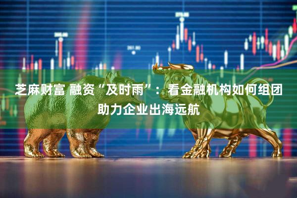 芝麻财富 融资“及时雨”：看金融机构如何组团助力企业出海远航