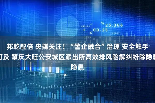 邦乾配倍 央媒关注！“警企融合”治理 安全触手可及 肇庆大旺公安城区派出所高效排风险解纠纷除隐患