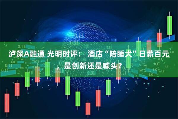 泸深A融通 光明时评： 酒店“陪睡犬”日薪百元，是创新还是噱头？