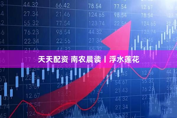 天天配资 南农晨读丨浮水莲花