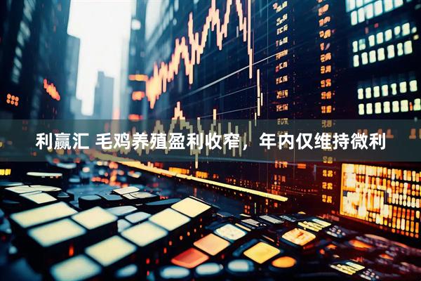 利赢汇 毛鸡养殖盈利收窄,年内仅维持微利