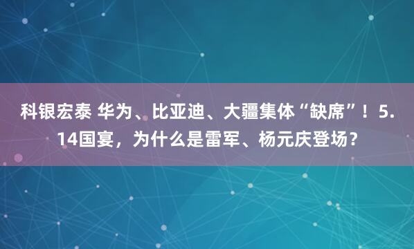 科银宏泰 华为、比亚迪、大疆集体“缺席”！5.14国宴，为什么是雷军、杨元庆登场？